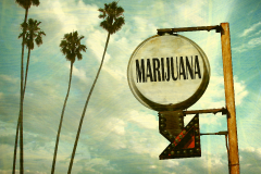 An Employers Guide to Drug Testing and Drug-Free Workplaces in the Era of Legal Marijuana